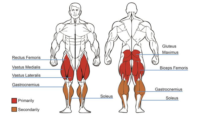 坐式蹬腿训练器