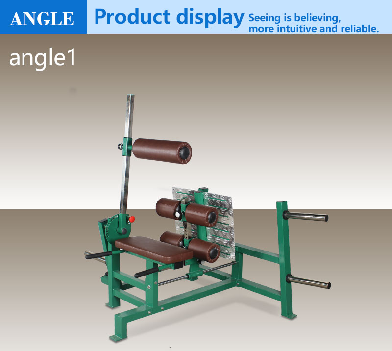反向腿部屈伸训练器