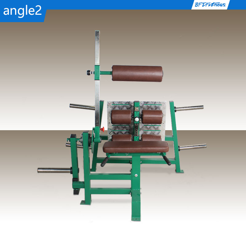 反向腿部屈伸训练器