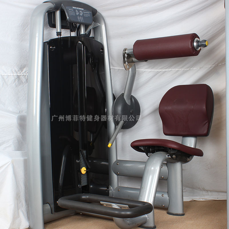 后背伸展训练器