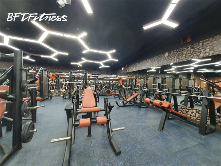 博菲特8868体育官网入口