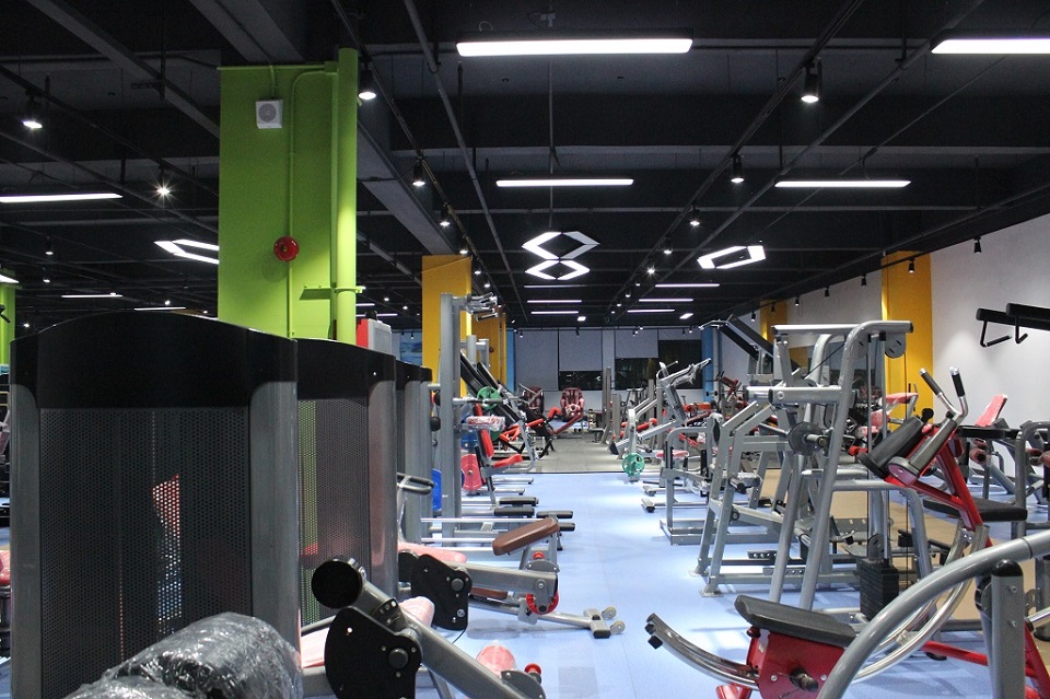 商用8868体育官网入口