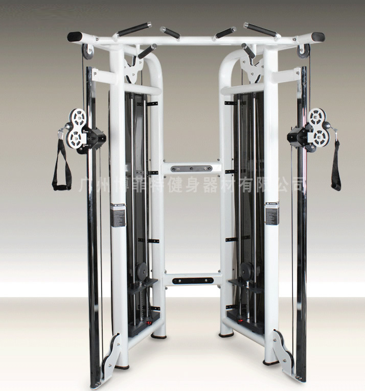 小飞鸟8868体育官网入口