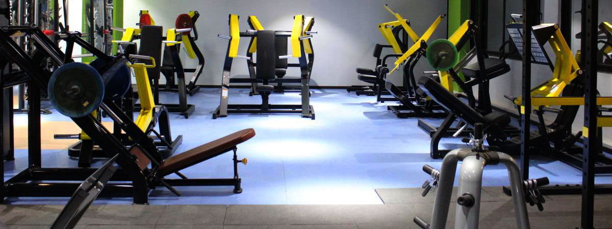 悍马大黄蜂系列8868体育官网入口