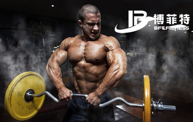 力量8868体育官网入口大全