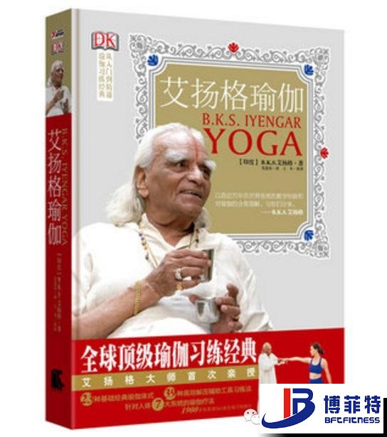 艾扬格瑜伽：精准习练指南